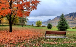 landscape image of sugarloaf and lake winona