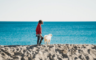 person walking on the beach with a dog